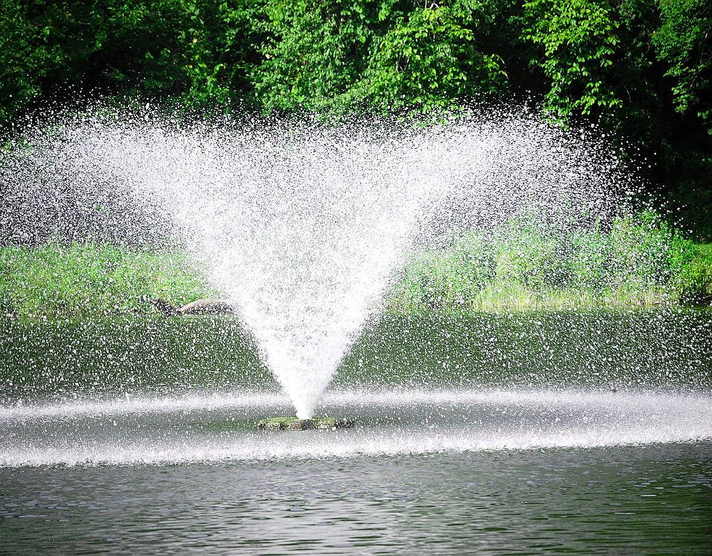 IT Consulting & Trainings are coming soon